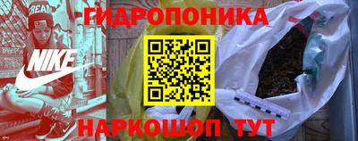 винт Партизанск